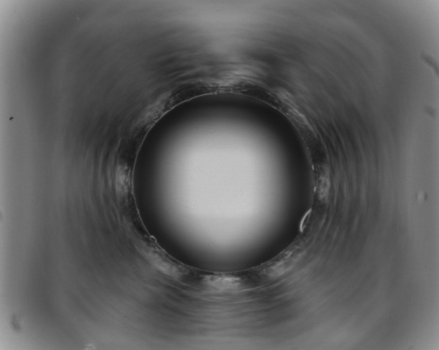 X0000097750476200803141600