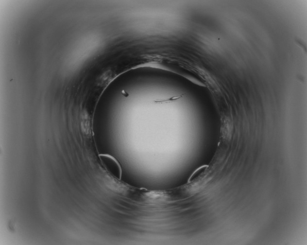 X0000097750477200803141600