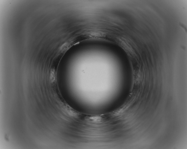 X0000097750478200803141600