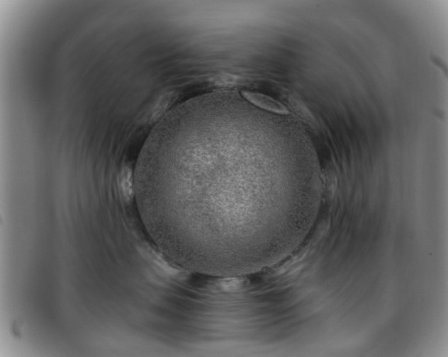 X0000097750479200803141600