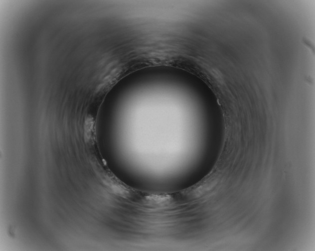 X0000097750480200803141600