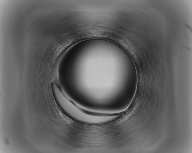 X0000097750481200803141600