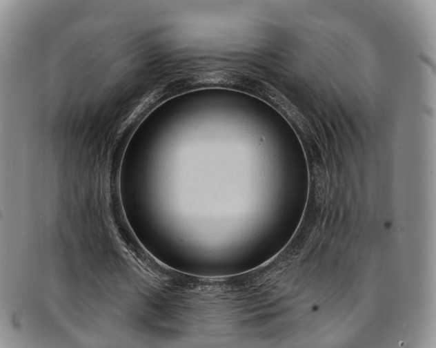 X0000097750482200803141600