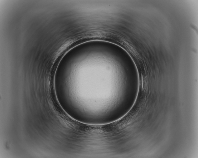 X0000097750483200803141600