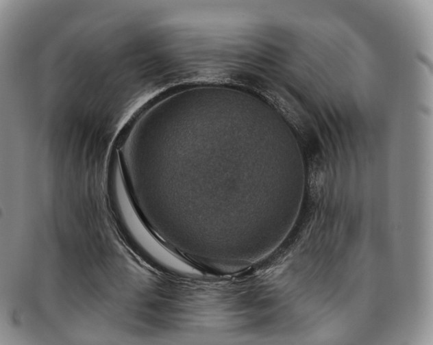 X0000097750484200803141600