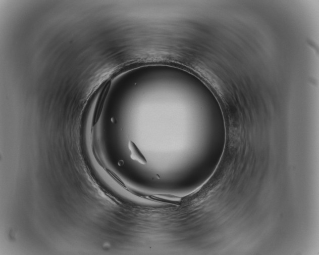 X0000097750485200803141600