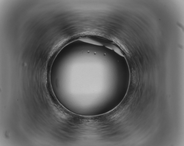 X0000097750486200803141600