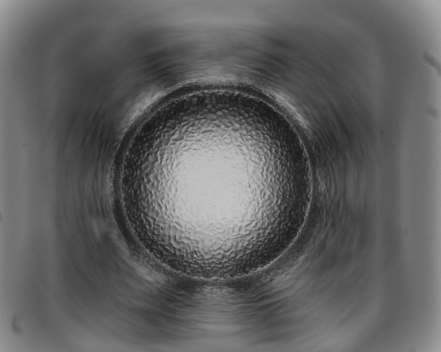 X0000097750487200803141600