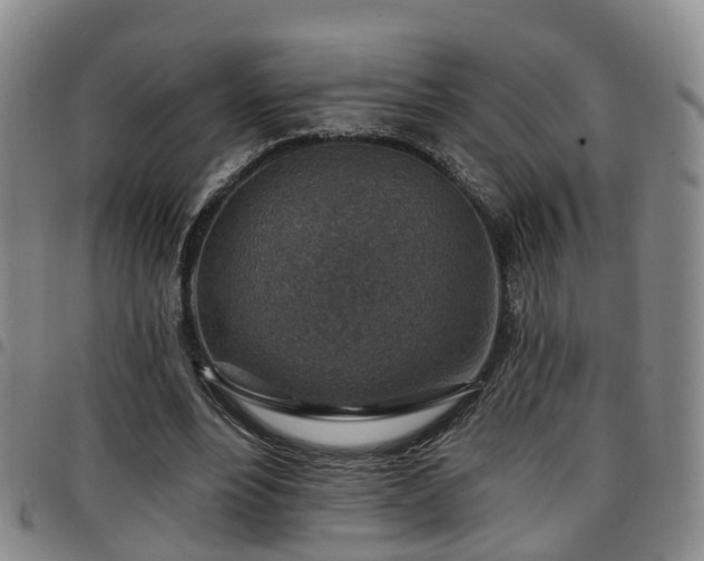 X0000097750488200803141559