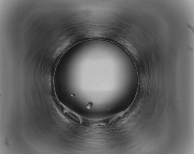 X0000097750489200803141559