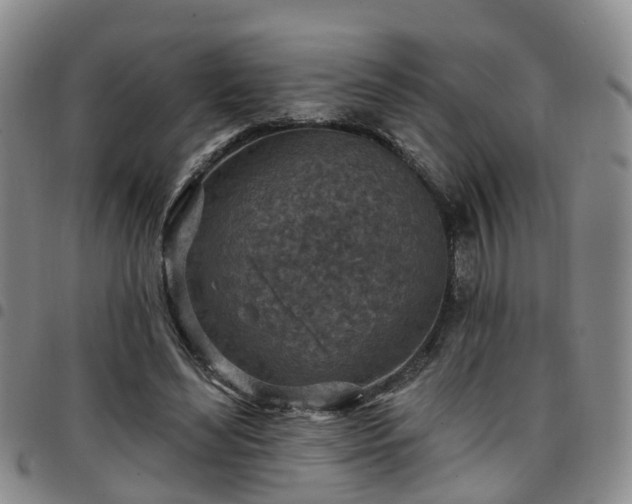 X0000097750492200803141559