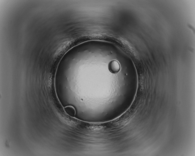 X0000097750495200803141559