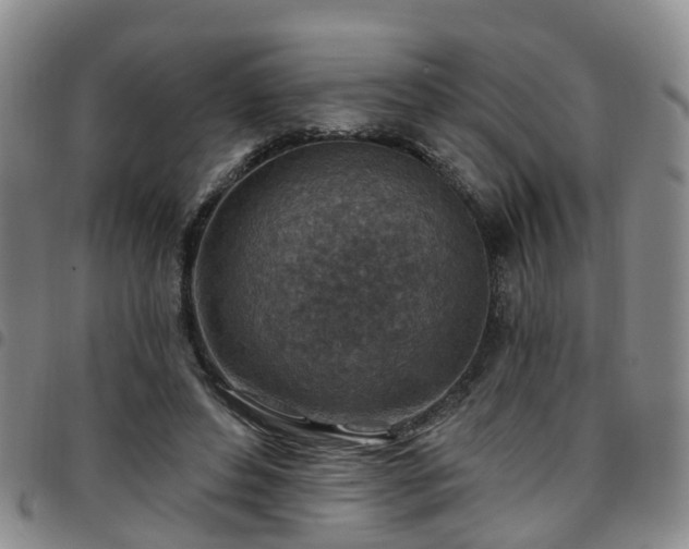 X0000097750496200803141559