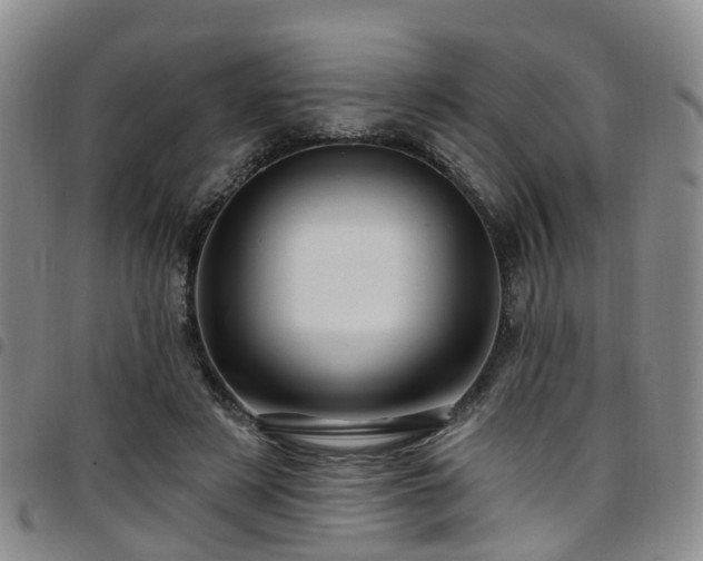 X0000097750497200803141559