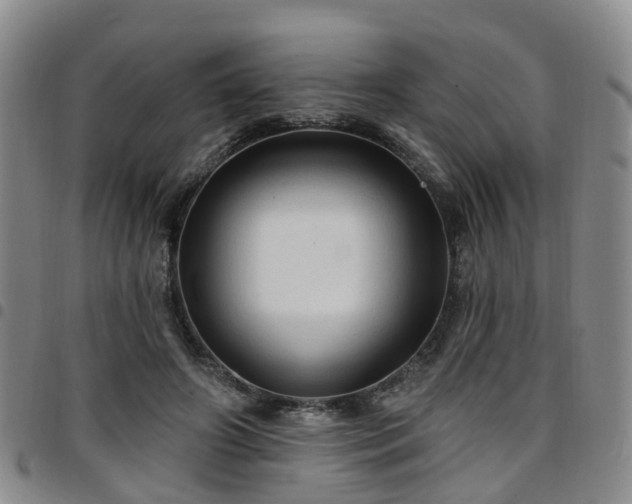 X0000097750498200803141559