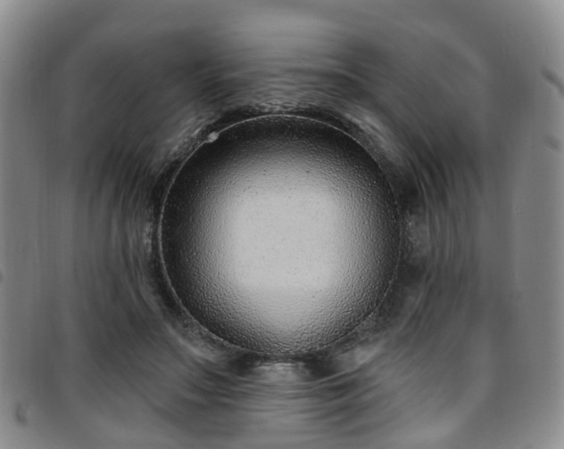 X0000097750499200803141559