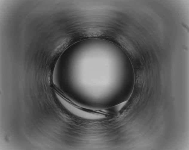 X0000097750501200803141559