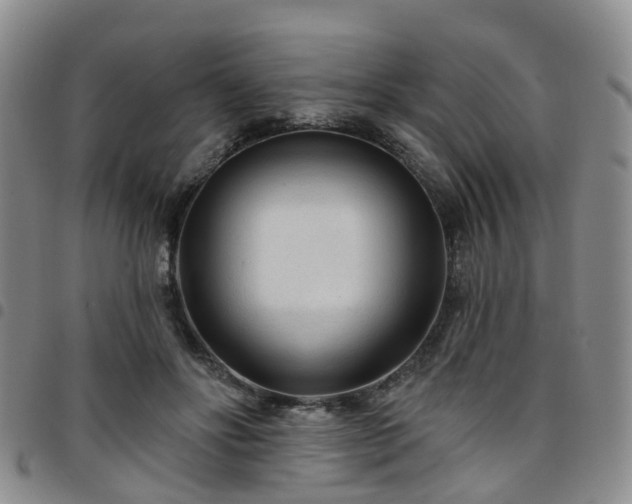 X0000097750502200803141559