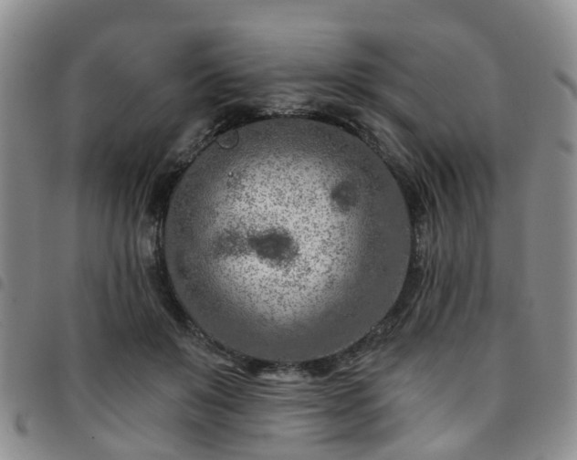 X0000097750503200803141559