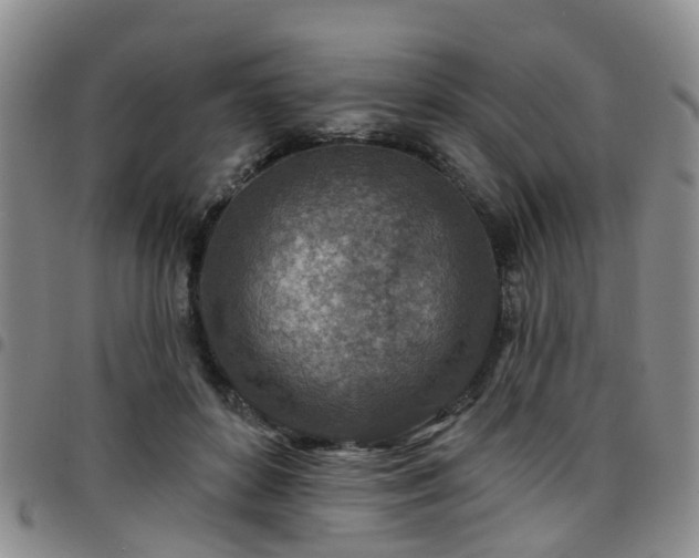 X0000097750504200803141559