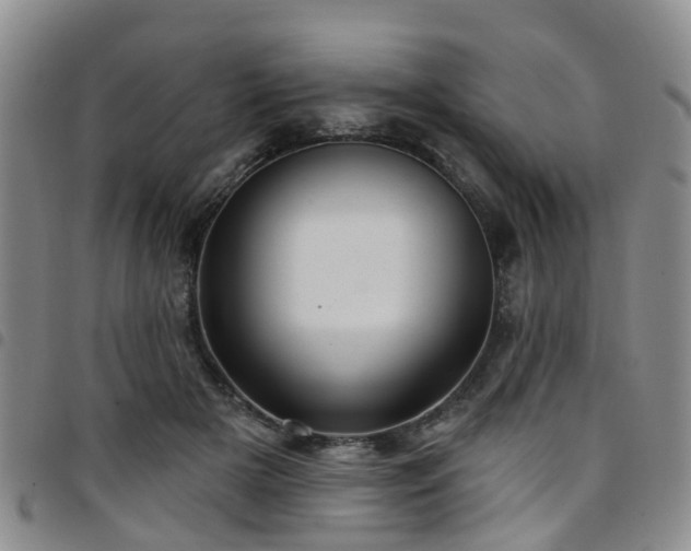 X0000097750505200803141559