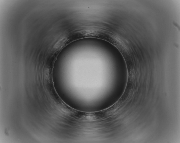 X0000097750506200803141559