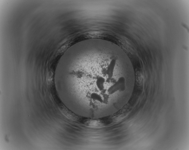 X0000097750507200803141559