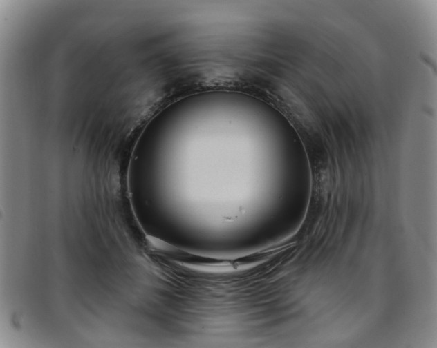 X0000097750508200803141559