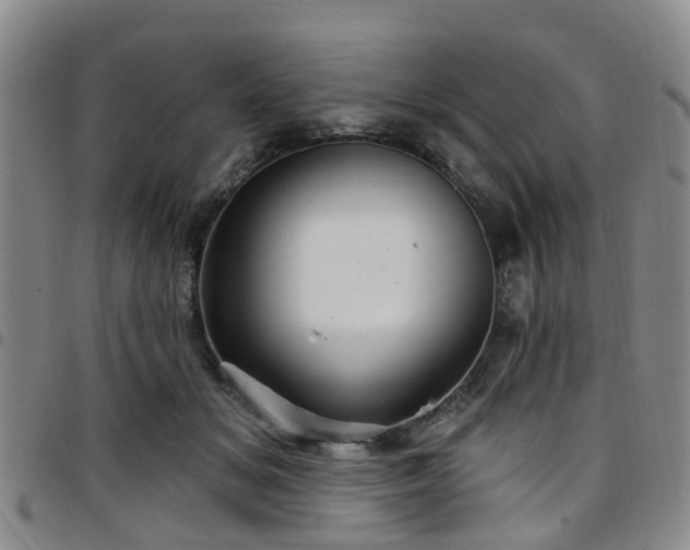 X0000097750509200803141559