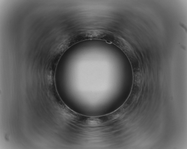 X0000097750510200803141559