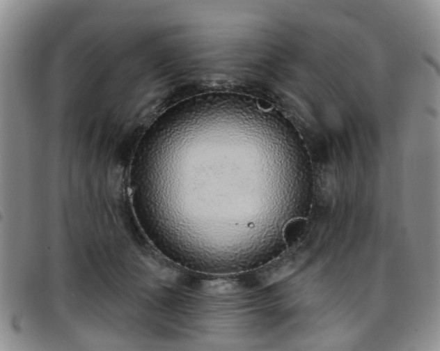 X0000097750511200803141559