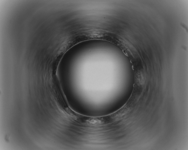 X0000097750512200803141559