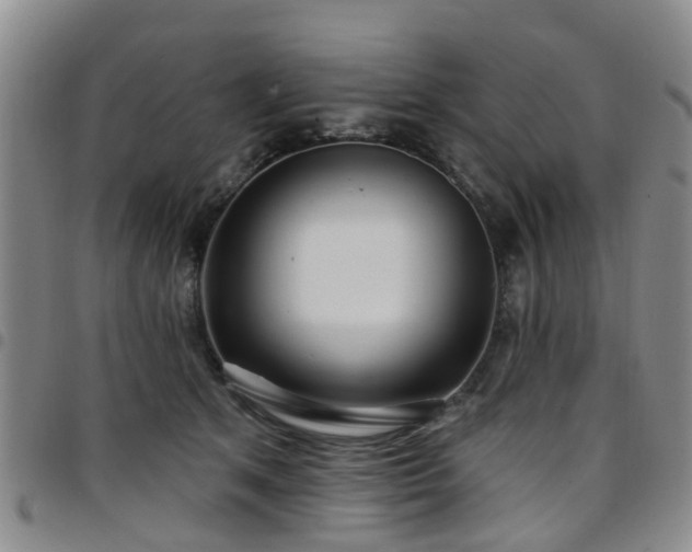 X0000097750513200803141559