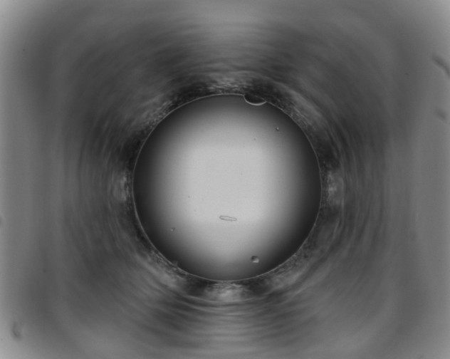 X0000097750514200803141559