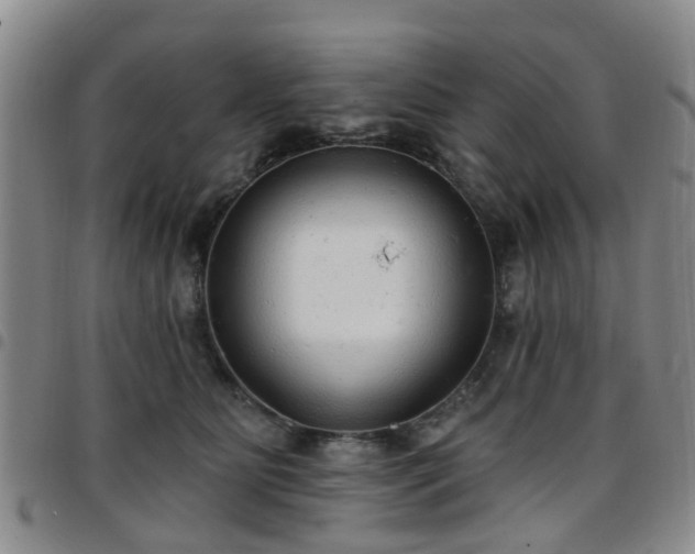 X0000097750515200803141559