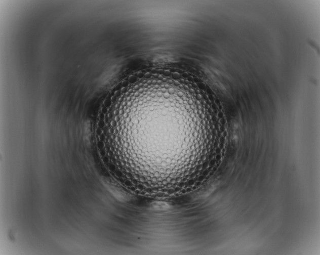 X0000097750519200803141559