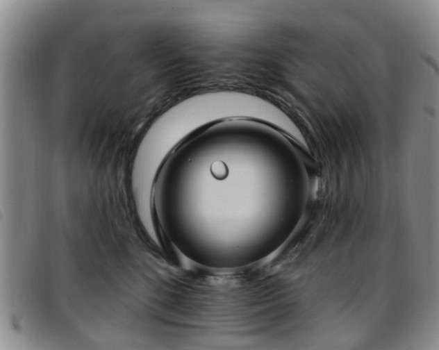 X0000097750520200803141559