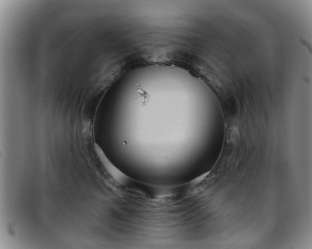 X0000097750521200803141559