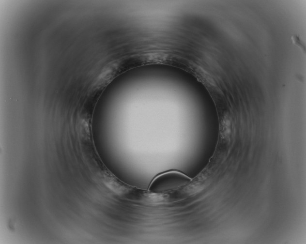 X0000097750522200803141559