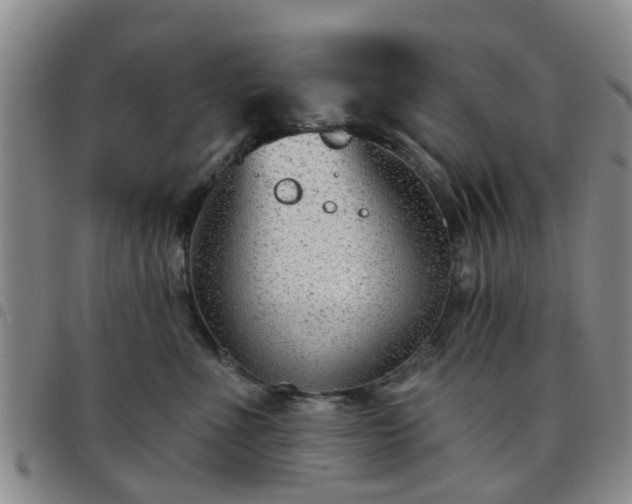 X0000097750523200803141559