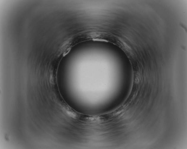 X0000097750524200803141559