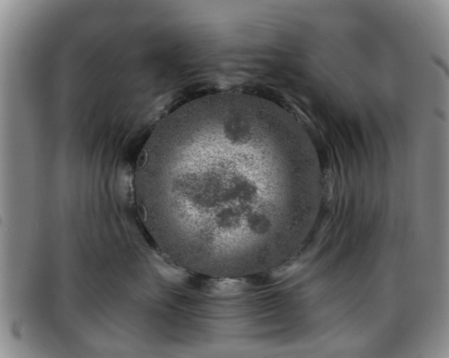 X0000097750527200803141559