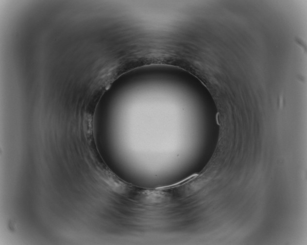 X0000097750528200803141559