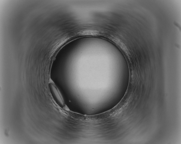 X0000097750529200803141558