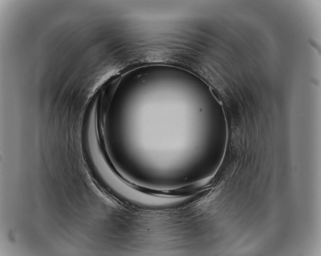 X0000097750530200803141558