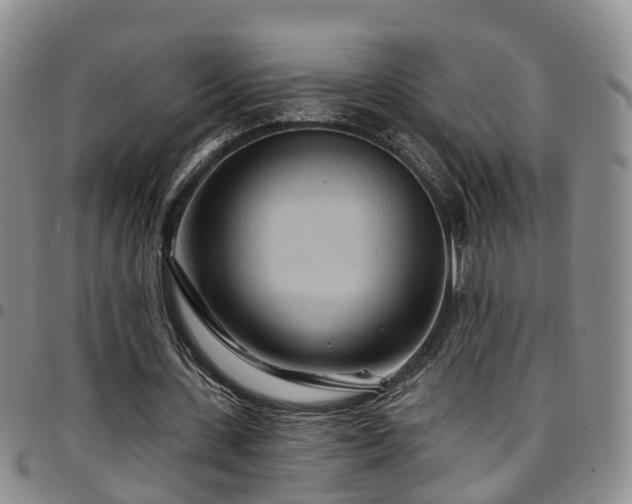 X0000097750531200803141558