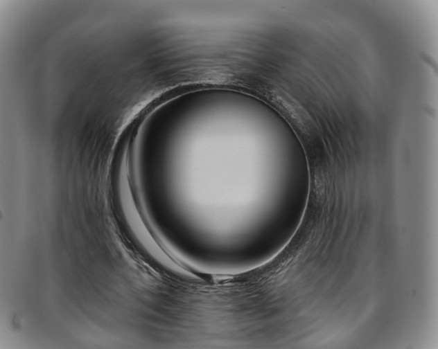 X0000097750532200803141558