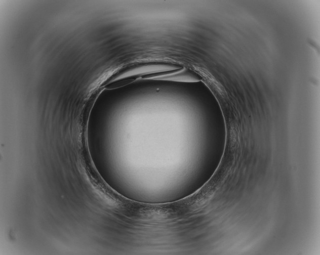 X0000097750533200803141558