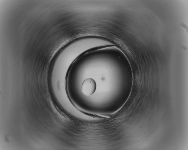 X0000097750534200803141558