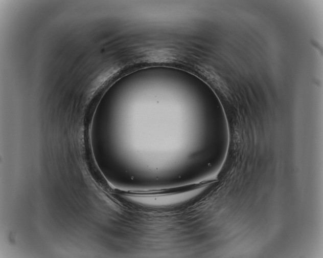 X0000097750535200803141558